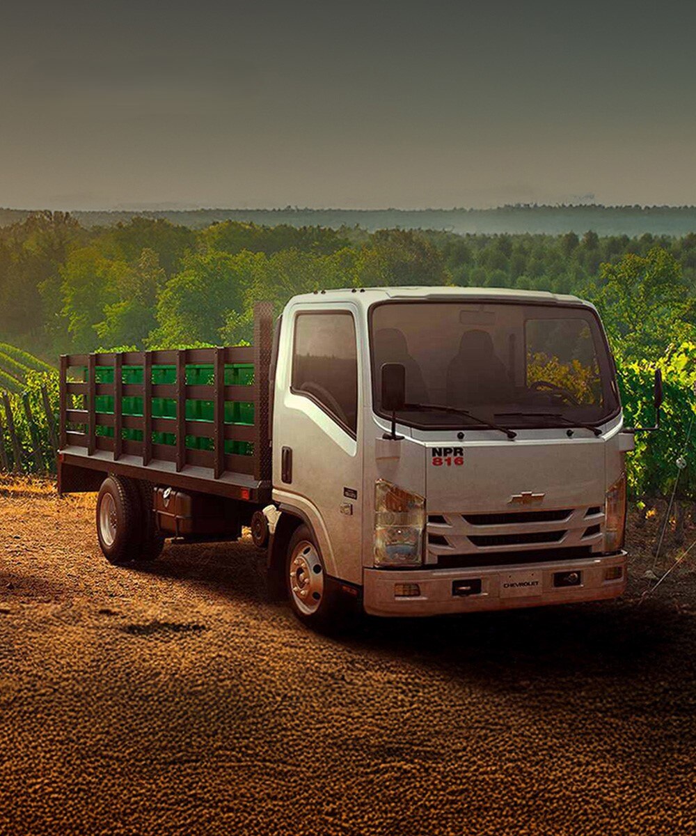 Camión npr 816